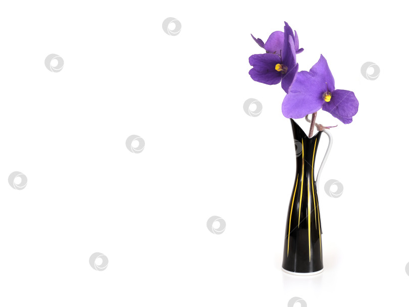 Скачать Черный керамический кувшин с красивыми фиолетовыми цветами, выделенными на белом фоне фотосток Ozero
