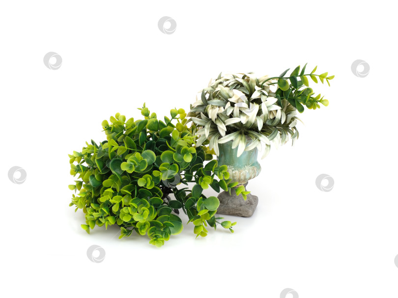 Скачать Декоративная бирюзовая ваза с пышной искусственной зеленью на белом фоне, готовый вырез фотосток Ozero