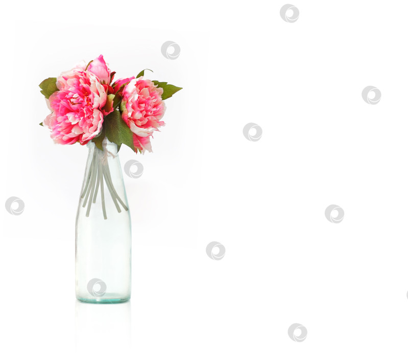 Скачать Стеклянная бутылка с розовыми пионами, выделенными на белом фоне фотосток Ozero