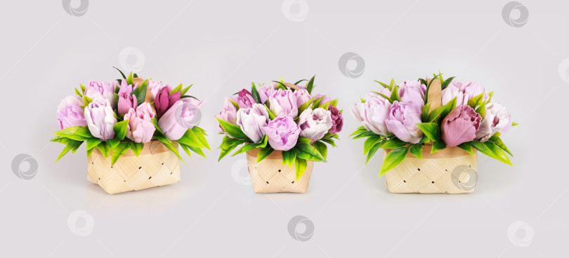 Скачать Шаблон поздравительной открытки. Корзина с тюльпанами на белом фоне фотосток Ozero