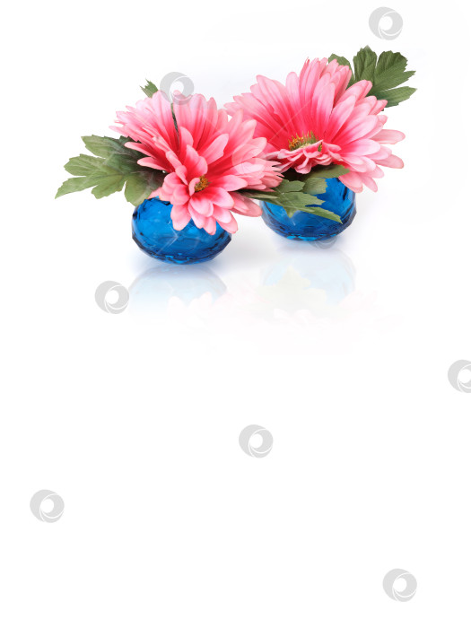 Скачать Розовый цветок герберы в маленькой голубой вазе, выделяющийся на белом фоне фотосток Ozero
