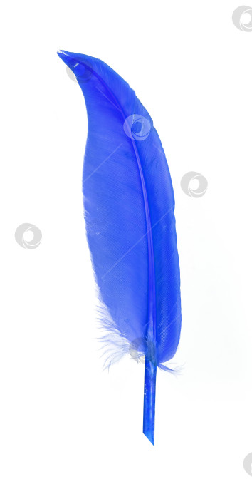 Скачать Розовая шариковая ручка с пером, выделенным на белом фоне фотосток Ozero