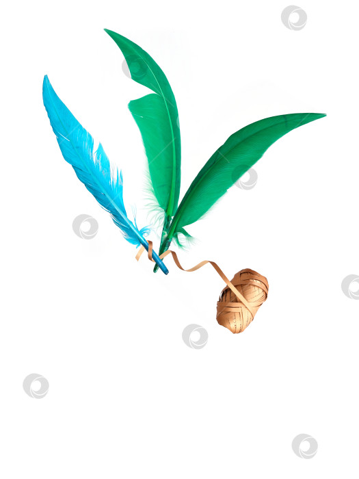 Скачать Композиция из перьев и ленты для подарка, выделенная на белом фоне фотосток Ozero