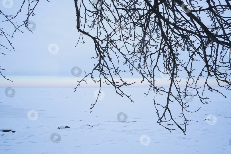 Скачать Зимний пейзаж у дворца Монплезир на берегу Финского залива. Нижний парк, Санкт-Петербург, Петродворец (Петергоф, Россия) фотосток Ozero