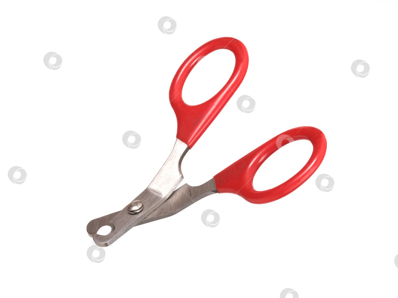 Скачать Домашние кусачки для ногтей, выделенные на белом фоне фотосток Ozero