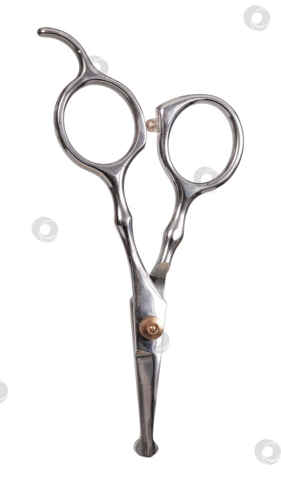 Скачать Ножницы для стрижки или ухода за волосами выделены на белом фоне. Элемент дизайна с контуром стрижки фотосток Ozero