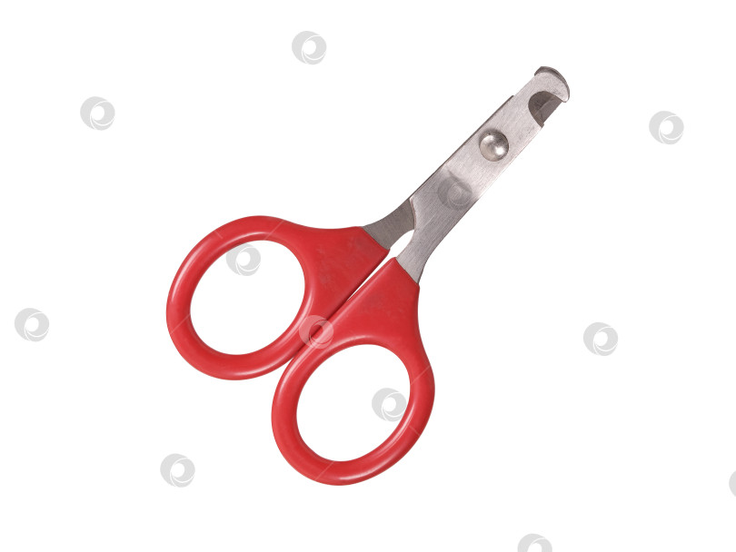 Скачать Ножницы для стрижки ногтей домашних животных выделены на белом фоне. Элемент дизайна с контуром стрижки фотосток Ozero