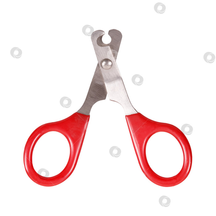 Скачать Ножницы для стрижки ногтей домашних животных выделены на белом фоне. Элемент дизайна с контуром стрижки фотосток Ozero