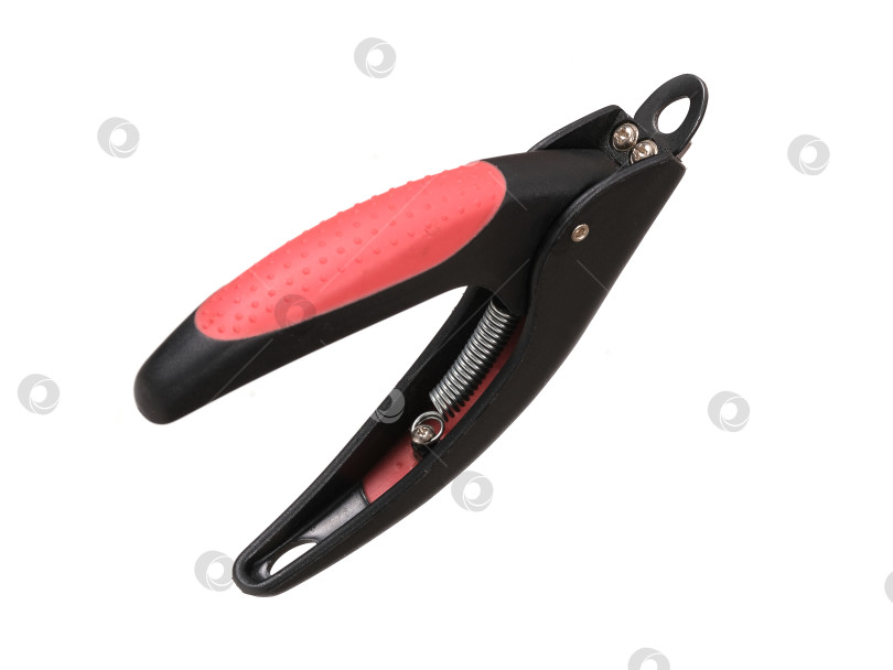 Скачать Домашние кусачки для ногтей, выделенные на белом фоне фотосток Ozero