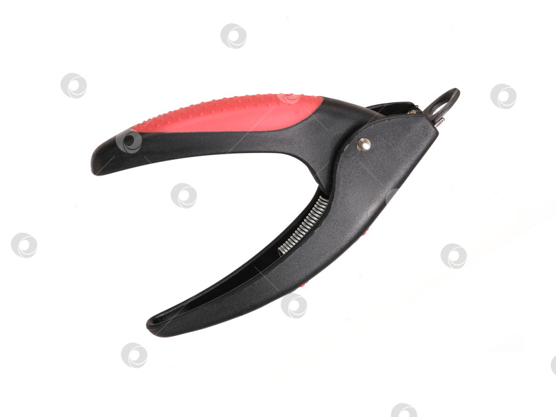 Скачать Домашние кусачки для ногтей, выделенные на белом фоне фотосток Ozero