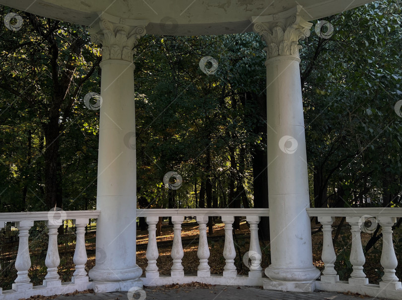 Скачать Беседка в парке фотосток Ozero