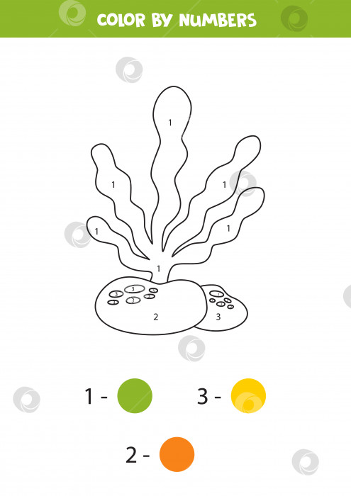 Скачать Раскрасьте милые мультяшные морские водоросли по номерам. Рабочая тетрадь для детей. фотосток Ozero