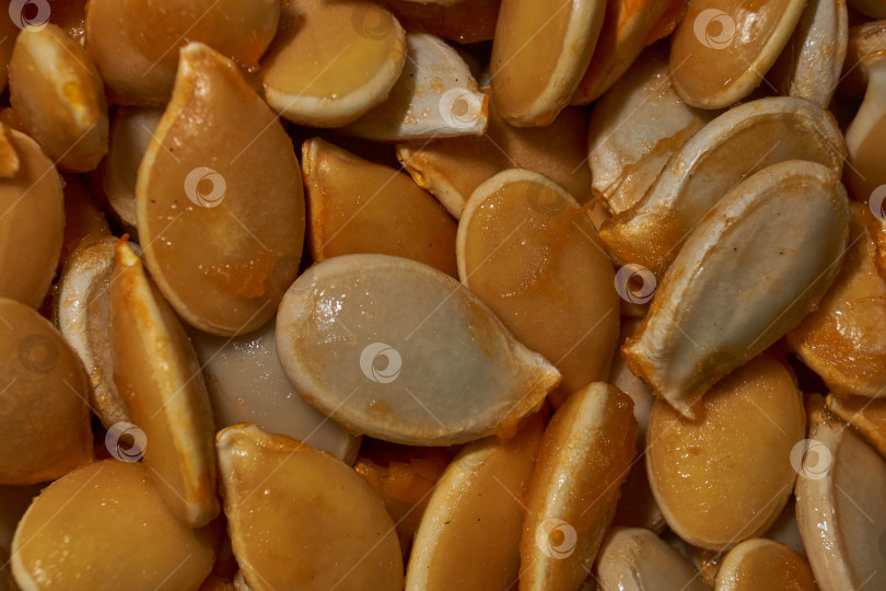 Скачать Тыквенные семечки крупным планом. Свежие Тыквенные Семечки После Отжима. фотосток Ozero