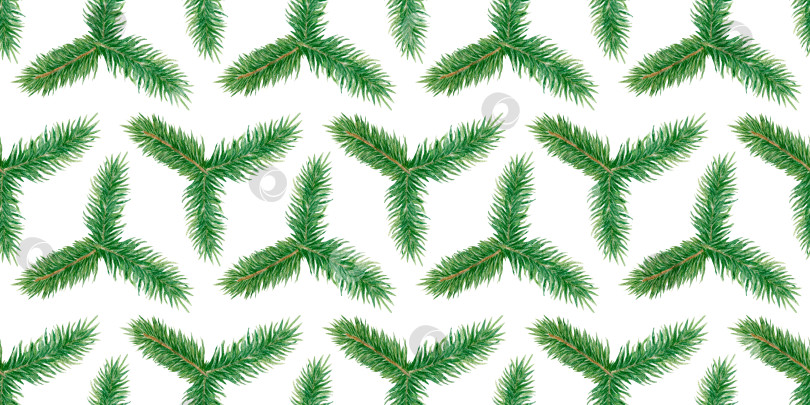 Скачать Акварельный бесшовный узор из веток вечнозеленой сосны. Рождественский фон с хвойными растениями фотосток Ozero