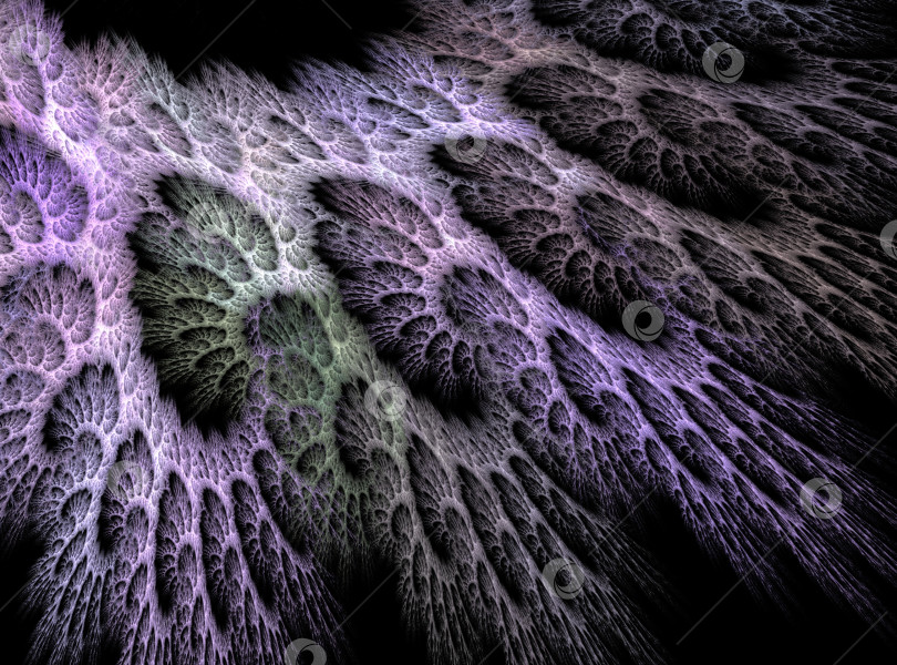 Скачать Аммонитовый фрактал фотосток Ozero