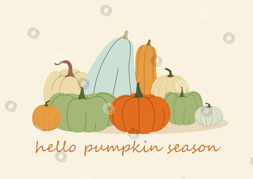 Скачать Здравствуй, тыквенный сезон фотосток Ozero