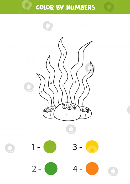 Скачать Раскрасьте милые мультяшные морские водоросли по номерам. Рабочая тетрадь для детей. фотосток Ozero