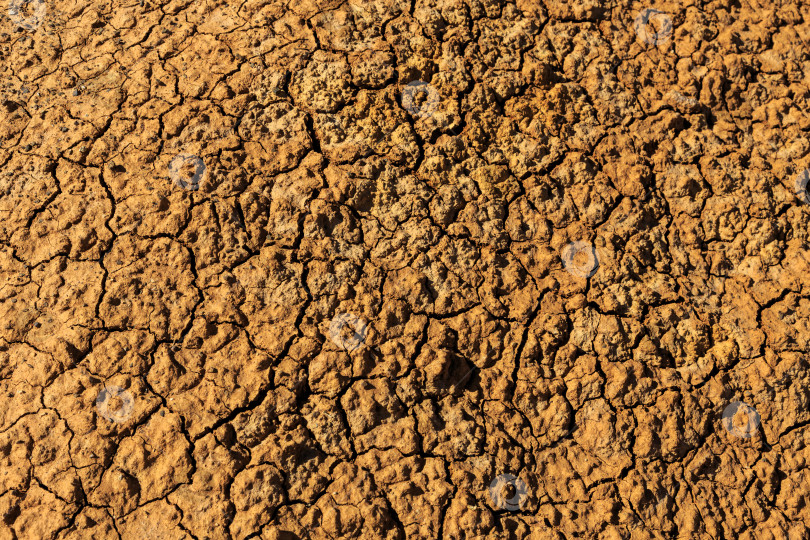 Скачать природная текстура 1 фотосток Ozero