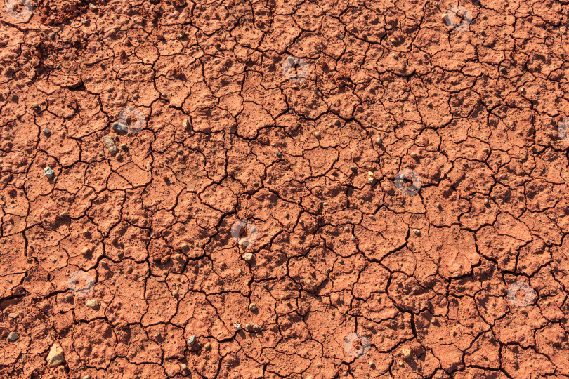 Скачать природная текстура 6 фотосток Ozero