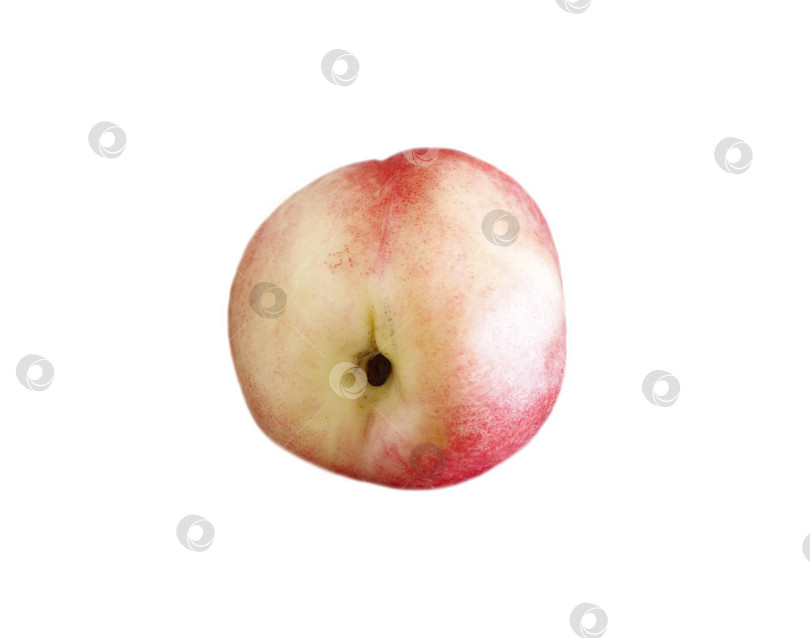 Скачать Фрукт персик на белом фоне фотосток Ozero