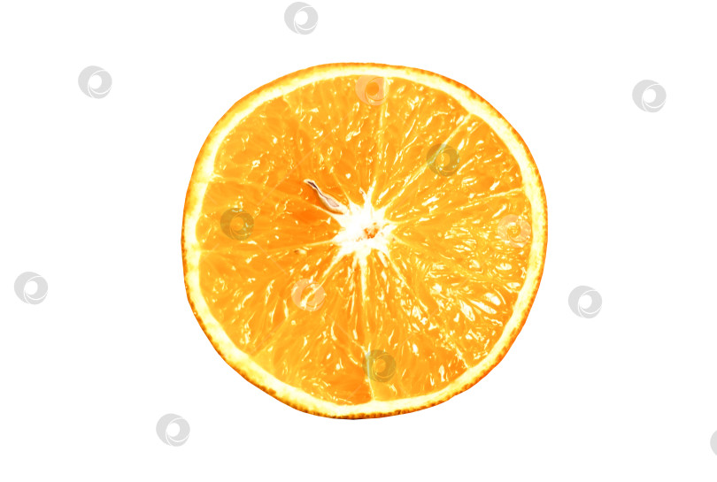 Скачать Фрукт апельсин на белом фоне фотосток Ozero