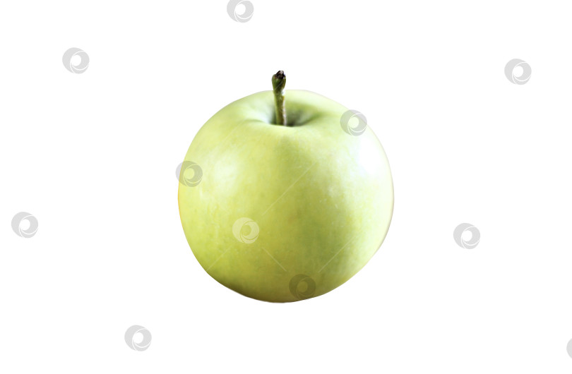 Скачать Зеленое яблоко на белом фоне фотосток Ozero