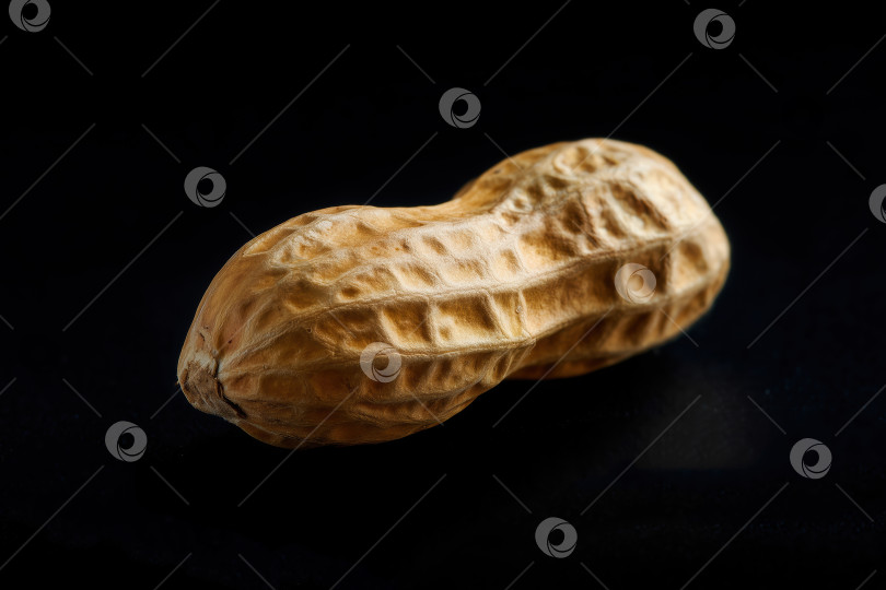 Скачать Арахис на черном фоне. Изображение арахиса крупным планом. фотосток Ozero