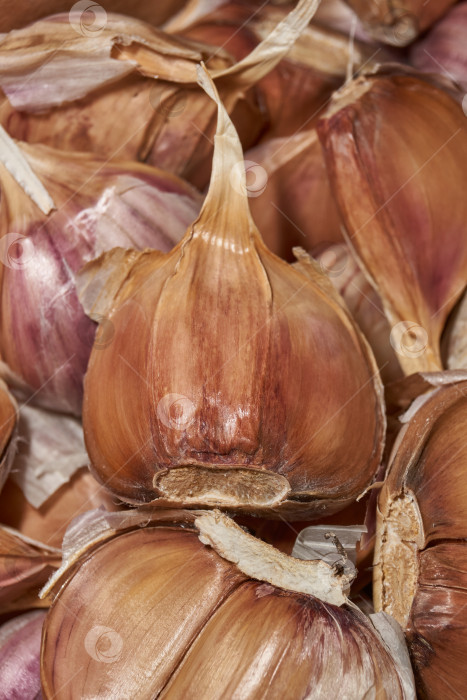 Скачать Зубчики чеснока готовят к зимней посадке. фотосток Ozero