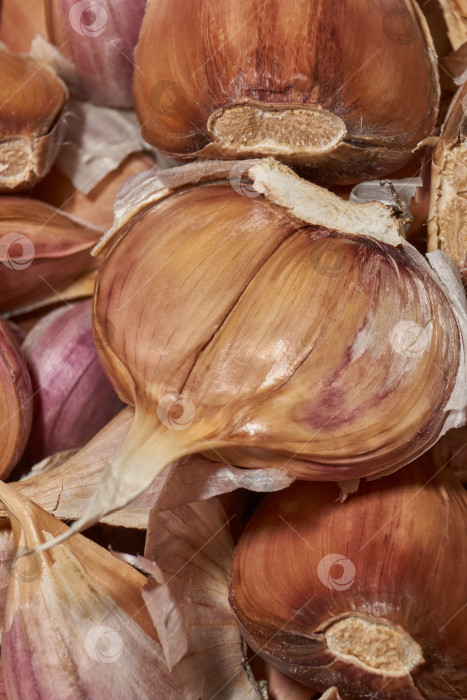 Скачать Зубчики чеснока готовят к зимней посадке. фотосток Ozero