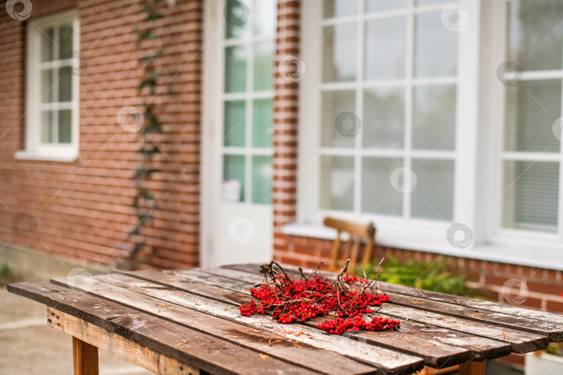 Скачать Ветка красной рябины на деревенском деревянном столе на фоне кирпичного дома с белыми окнами. фотосток Ozero