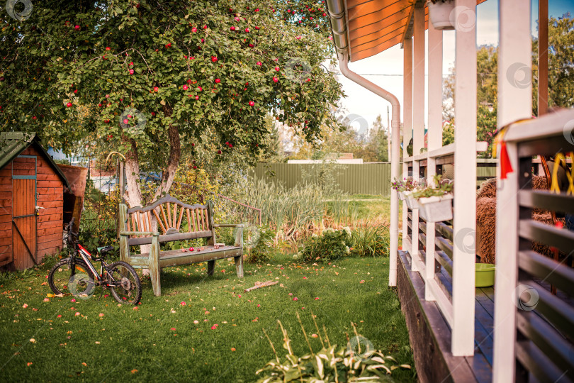 Скачать Деревянная скамейка на пышной зеленой лужайке рядом с яблоней, усыпанной красными плодами, небольшой навес и велосипед. Сельский пейзаж в саду фотосток Ozero