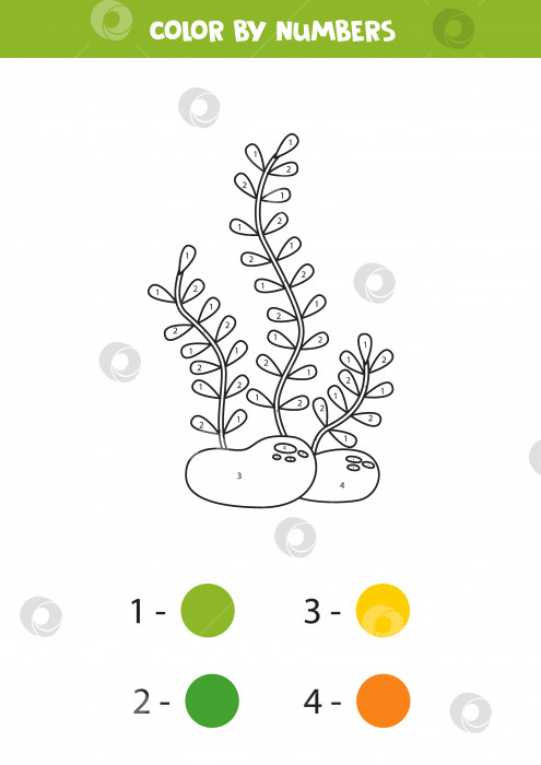 Скачать Раскрасьте милые мультяшные морские водоросли по номерам. Рабочая тетрадь для детей. фотосток Ozero