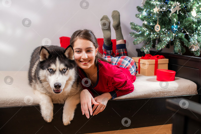 Скачать улыбающаяся девушка и собака породы хаски лежат на кровати. Празднование Рождества фотосток Ozero