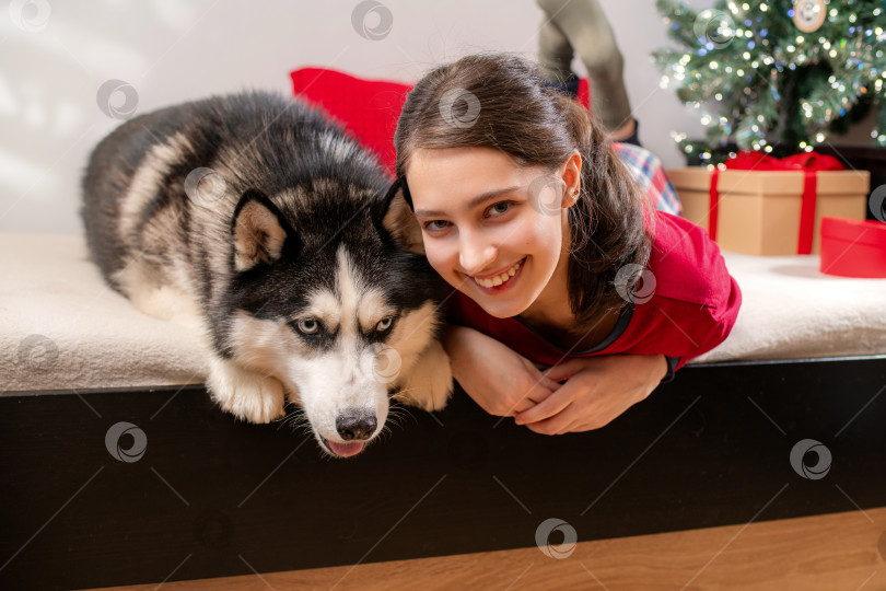 Скачать улыбающаяся девушка и собака породы хаски лежат на кровати. Празднование Рождества фотосток Ozero