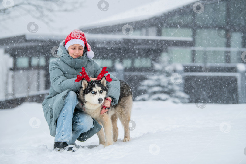 Скачать девушка с сибирским хаски в рождественской шапке с оленьими рогами празднует Рождество. фотосток Ozero