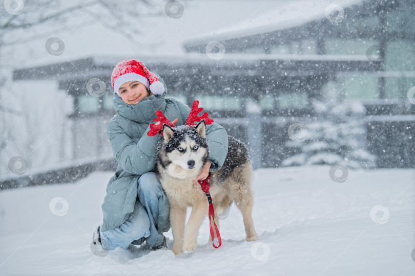 Скачать девушка с сибирским хаски в рождественской шапке с оленьими рогами празднует Рождество. фотосток Ozero