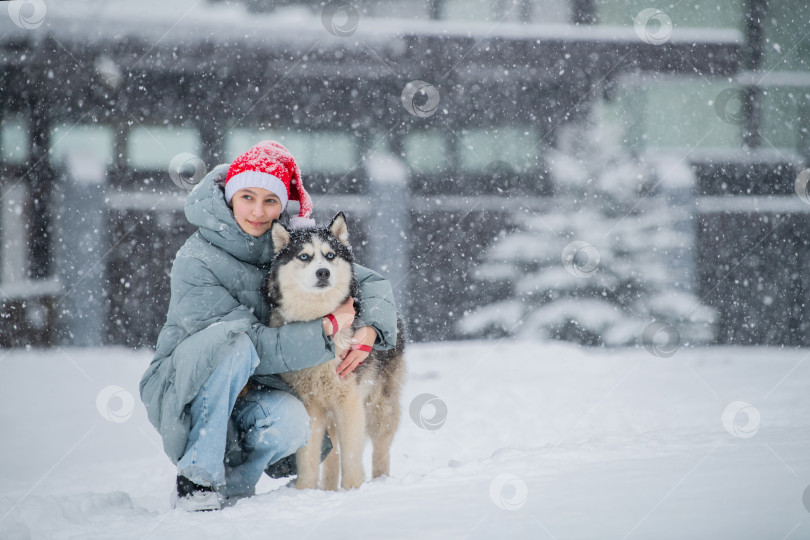 Скачать Счастливая девушка-хозяйка в шапке Санты обнимает собаку хаски снежной зимой фотосток Ozero