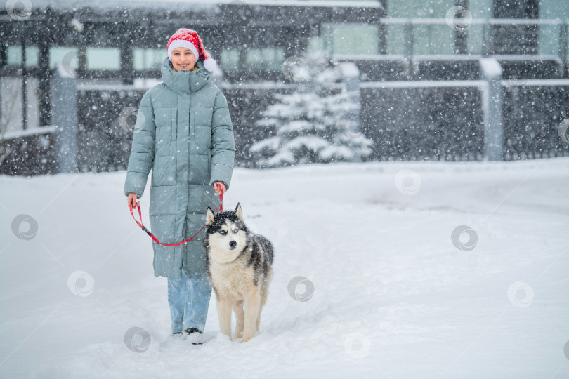 Скачать Улыбающаяся девушка в шапке Санты зимой выгуливает собаку породы хаски на красном поводке. фотосток Ozero