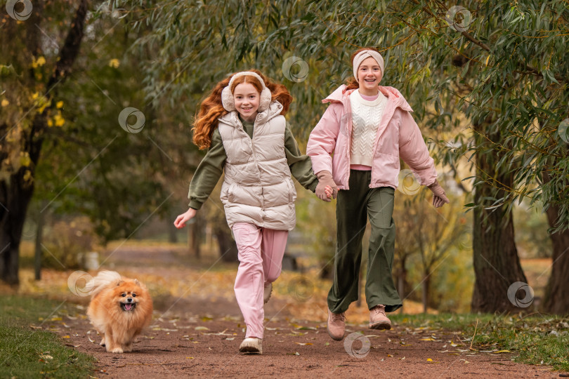Скачать Две счастливые девочки-сестры бегут по дорожке осеннего парка со своей любимой собакой - померанским шпицем фотосток Ozero