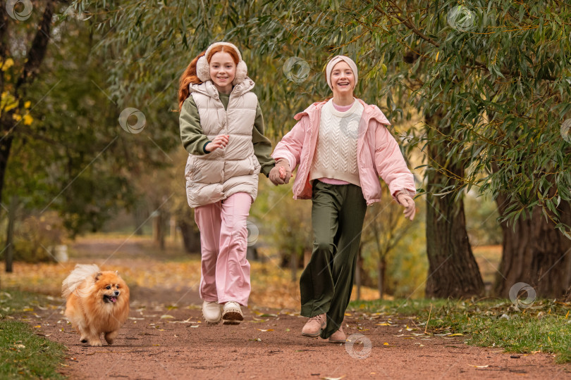 Скачать Две счастливые девочки-сестры бегут по дорожке осеннего парка со своей любимой собакой - померанским шпицем фотосток Ozero