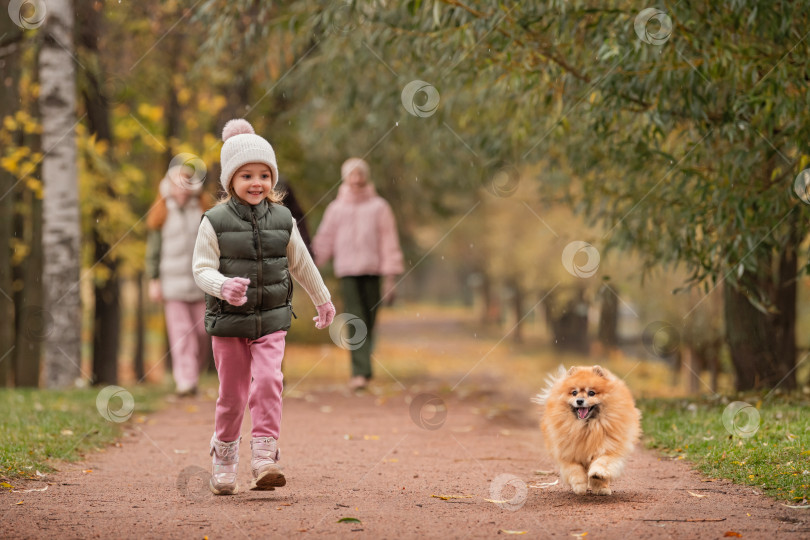 Скачать маленькая девочка и ее домашний шпиц бегут по дорожке в осеннем городском парке. фотосток Ozero
