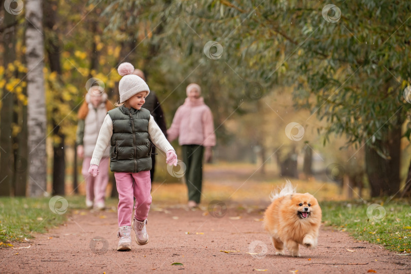 Скачать маленькая девочка и ее домашний шпиц бегут по дорожке в осеннем городском парке. фотосток Ozero