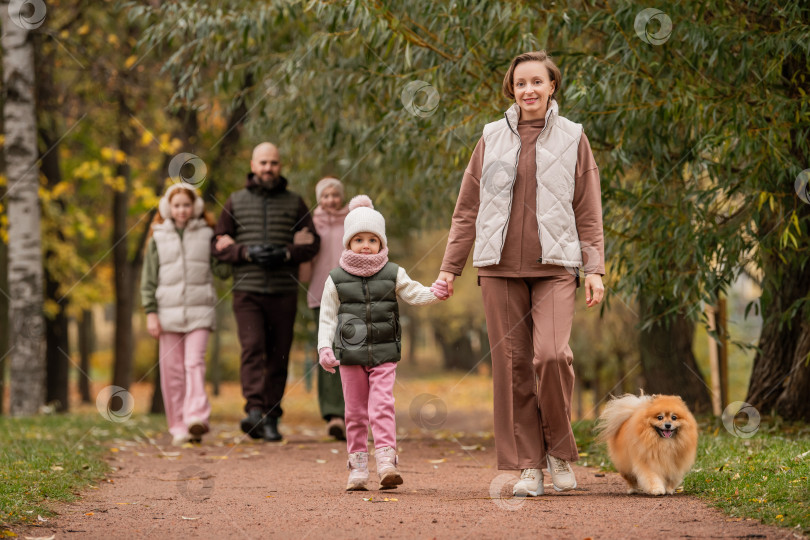 Скачать семья выгуливает своего любимого шпица по осенней дорожке в городском парке. фотосток Ozero