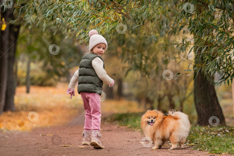 Скачать маленькая девочка и ее домашний шпиц бегут по дорожке в осеннем городском парке. фотосток Ozero