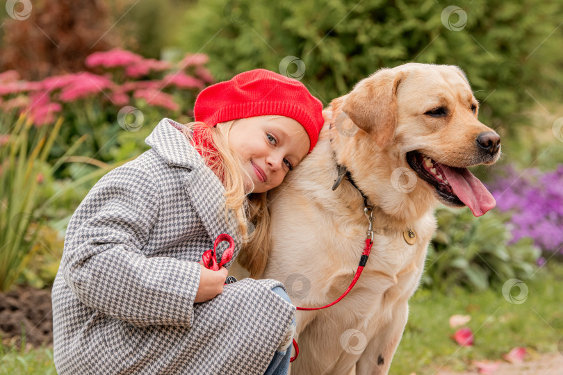Скачать Маленькая девочка в красном берете и пальто обнимает белого лабрадора в осеннем парке. фотосток Ozero