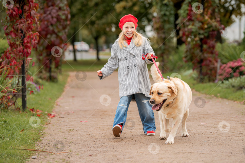 Скачать Непослушный лабрадор тянет свою маленькую хозяйку на поводке по дорожке осеннего парка. фотосток Ozero