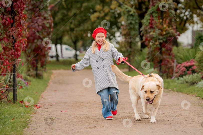 Скачать Непослушный лабрадор тянет свою маленькую хозяйку на поводке по дорожке осеннего парка. фотосток Ozero