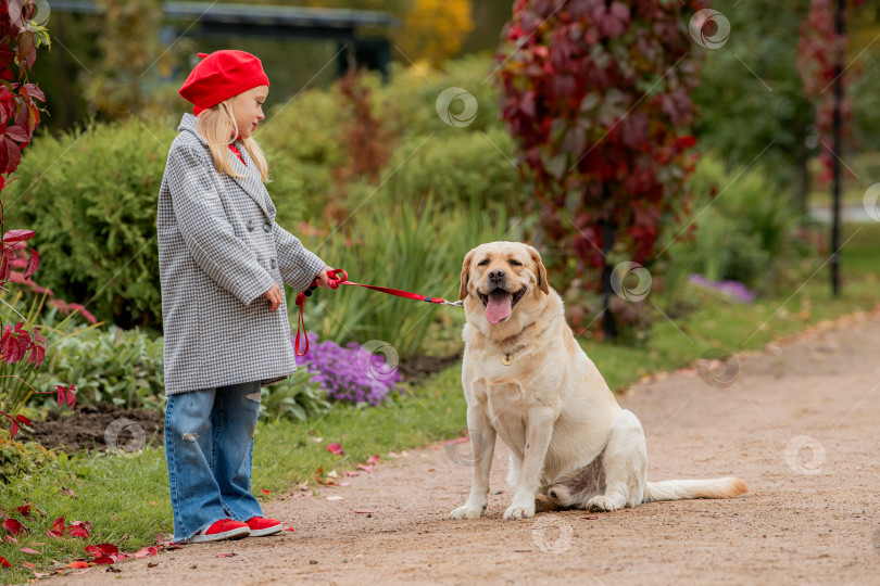 Скачать маленькая девочка в красном берете и пальто прогуливается с собакой лабрадором на поводке по дорожке осеннего парка. фотосток Ozero