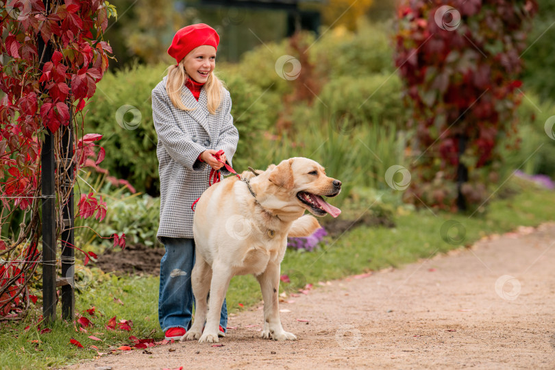 Скачать маленькая девочка в красном берете и пальто прогуливается с собакой лабрадором на поводке по дорожке осеннего парка. фотосток Ozero