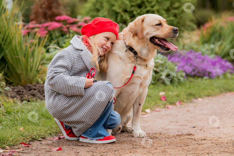 Скачать Маленькая девочка в красном берете и пальто обнимает белого лабрадора в осеннем парке. фотосток Ozero
